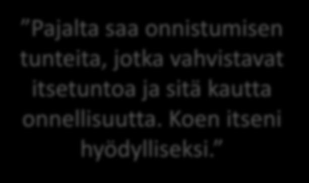 Kävijöiden kokemuksia Kulttuuripajan vaikuttavuudesta (Lähde: Laurean sairaanhoitajaopiskelijoiden opinnäytetyö 4/2014) Pajalta saa onnistumisen tunteita, jotka vahvistavat itsetuntoa ja sitä kautta