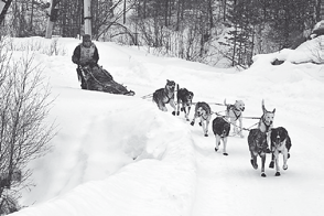 MAIJA NIVALA - metsästysharjoittelua ja oman kunnon kohentamista TEKSTI Niina Konttaniemi KUVAT www.arcticbarentsrace.