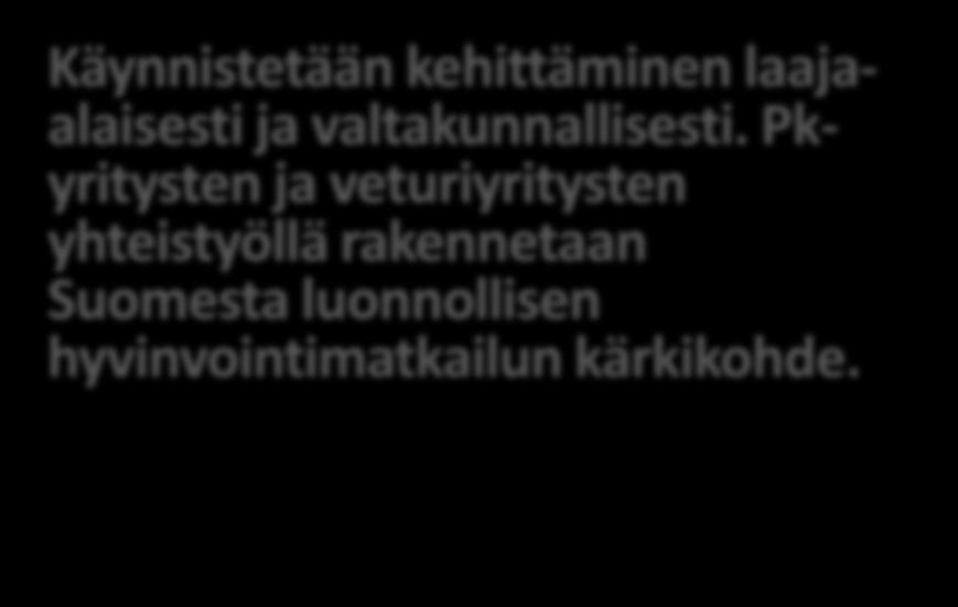 Ohjelman tavoitteet Käynnistetään kehittäminen laajaalaisesti ja valtakunnallisesti. Pkyritysten ja veturiyritysten yhteistyöllä rakennetaan Suomesta luonnollisen hyvinvointimatkailun kärkikohde.