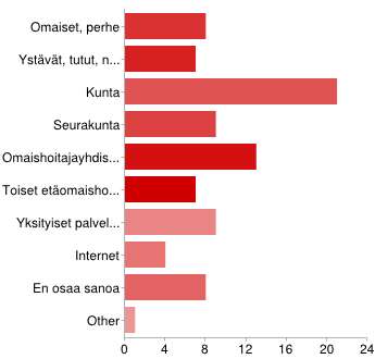 16. Millaista tukea haluaisit saada omaan tilanteeseesi etäomaishoidossa?