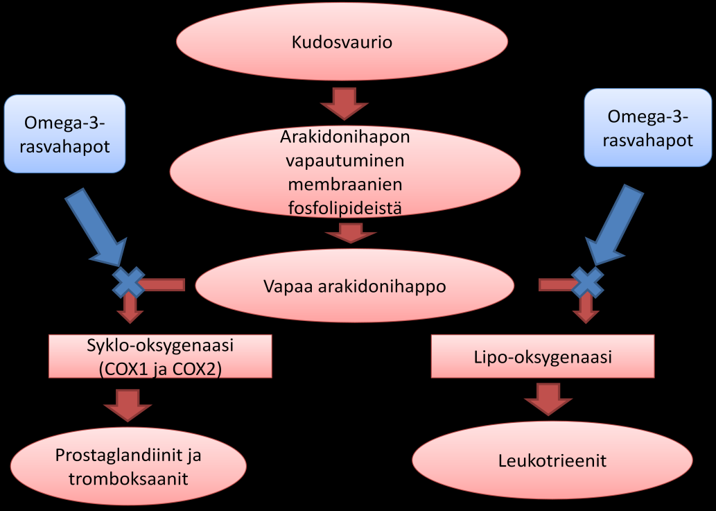 heikkolaatuinen koirien kuivaruoka tai kuivaruokien vääränlainen tai liian pitkä säilytysaika saattaa joskus aiheuttaa rasvahappojen puutosta koirilla.