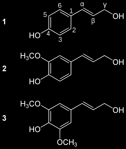 40 Kuva 16. Kolme yleisenä esiintyvää ligniinin rakenneosaa monolignolia: 1. parakumaryylialkoholi, 2. koliferyylialkoholi ja 3. sinapylalkoholi 3.5. Pellava 3.5.1. Kuitu- ja öljypellavan viljely: kylvö ja käytettävä kylvösiemenmäärä Öljypellavan normaali kylvömäärä on noin 750 900 itävää siementä/m2.