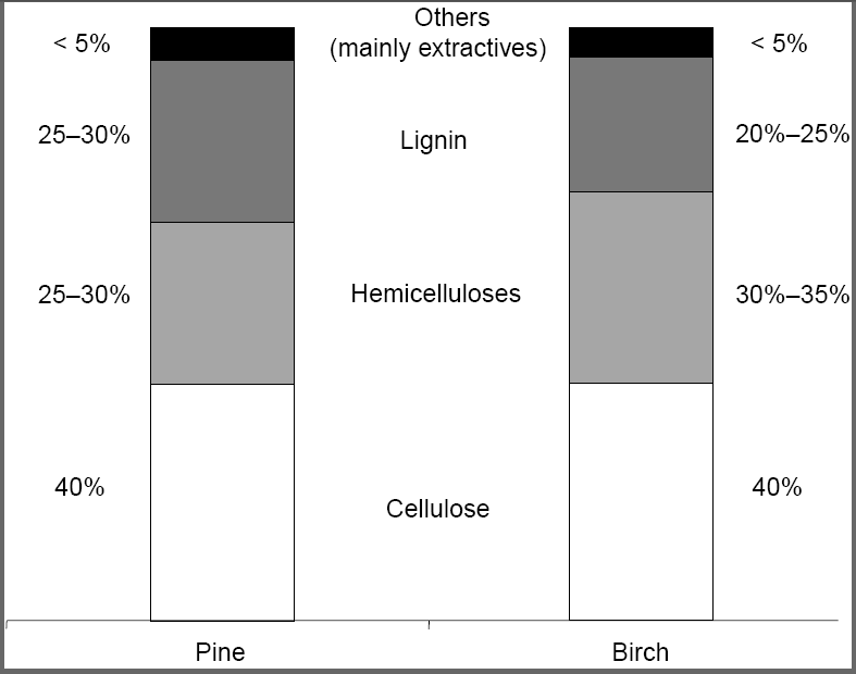 4 galaktoosista, ksyloosista ja arabintoosista. Selluloosan tyyppi ja ominaisuudet vaihtelevat suuresti eri puulajien mukaan. Ligniini on voimakkaasti haarautunut polymeeri ja meeri.