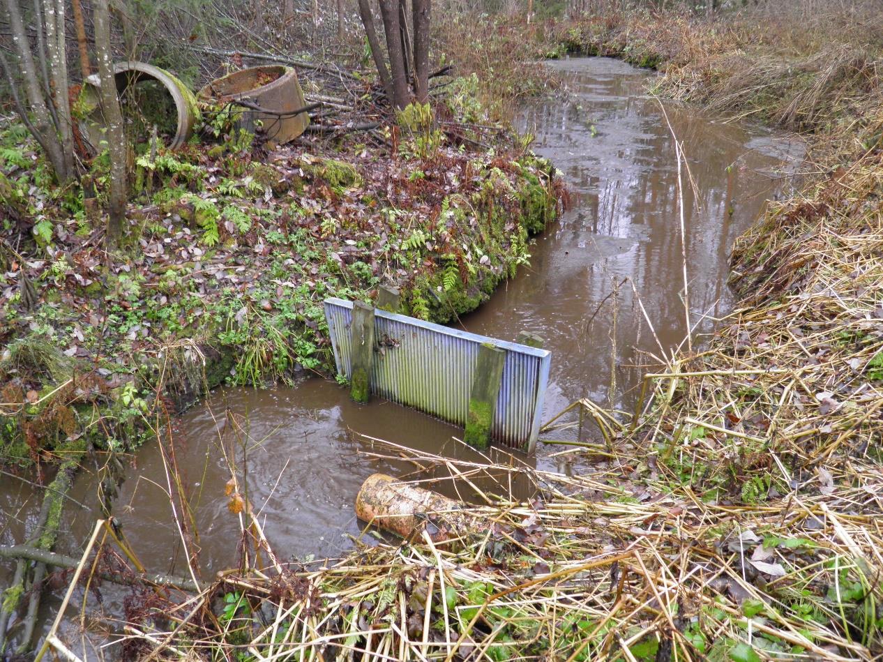 2 Toimenpide-ehdotukset Liuna-Joroisvirta Joroisten kunnan jätevedenpuhdistamo Suurin pistemäinen kuormitus syntyy Joroisten jäteveden puhdistamolta.