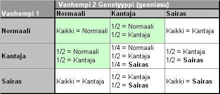 4.3.2 Muut Suomessa rodulla todetut merkittävät sairaudet Perinnöllinen kuurous Amerikkalaisten tutkimusten mukaan englanninsettereillä on tyypillistä perinnöllinen kuurous.