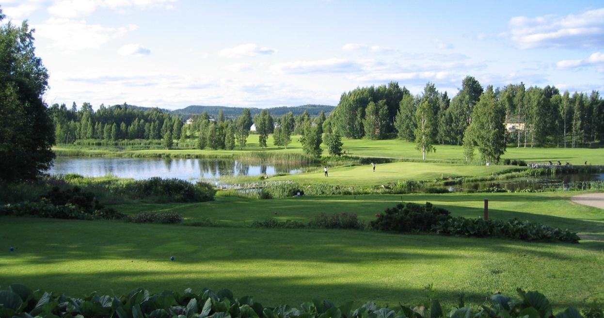 Maisema Golfkentän maisema muuttuu jatkuvasti. Erityisesti puuston kasvu muuttaa kentän visuaalista ilmettä.