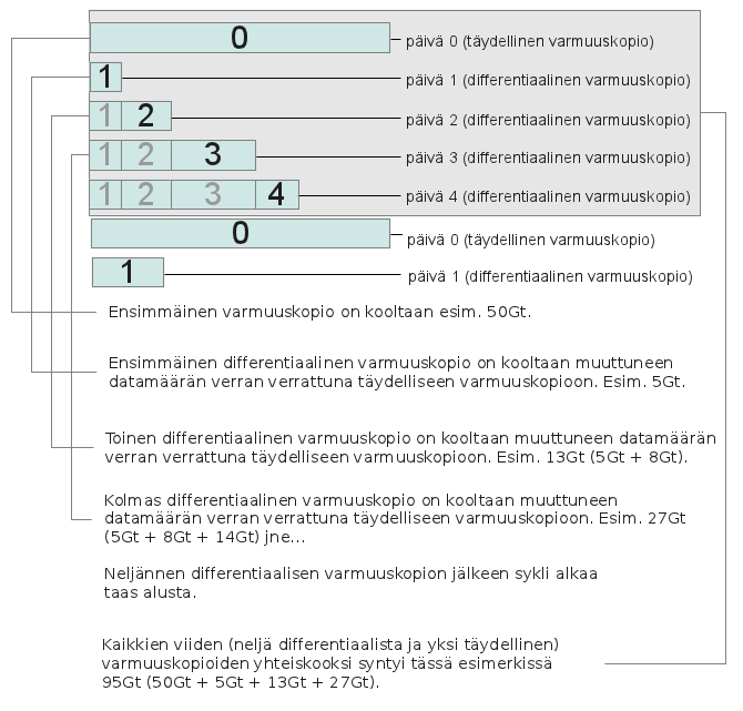 7 Kuva 2: