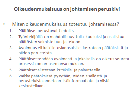 Sinisten ryhmä Elise johti keskustelua ja päätökset tehtiin yhdessä. Keskustelussa yksi oli aina äänessä ja muut kuuntelivat.