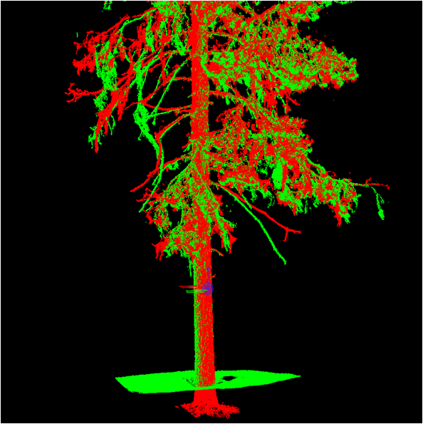 radargrammetry Puiden rakenne metsän ja maaperän