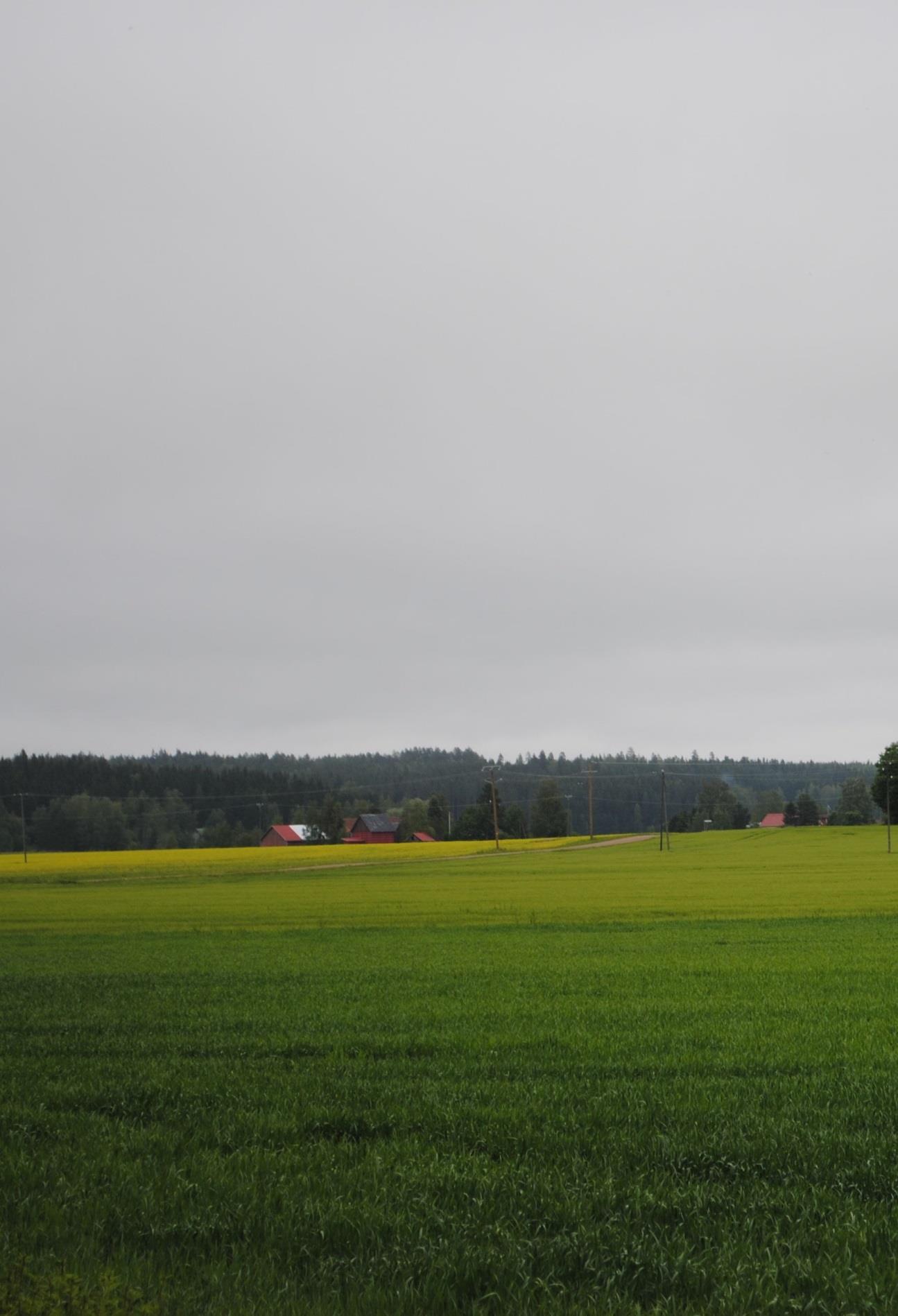 18. Kuva 6. Myöskään liuenneen fosforin osuus kokonaisfosforista ei kasvanut vaan trendi oli päinvastoin lievästi laskeva.