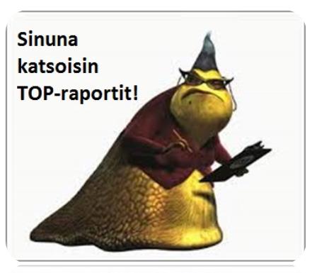 16 3. Mitä projektin aikana toteutettiin Case: Työssäoppimisen raportoinnin jalkautus opiskelijatyönä Projekti käynnistyi, työ esiteltiin ohjaaville opettajille ja