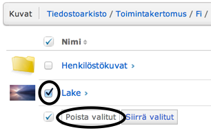 4. Anna versionimi tai versionumero, jonka avulla versiot erottuvat toisistaan. Vinkki: Yleinen versiointikäytäntö on antaa versionumero. Ensimmäinen julkaistu versio on 1.