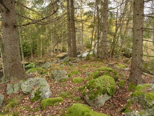 7 7 5 Myllyuoma sahapadon yläpuolella. Alla vanhoja kiviä (alkuperäinen uoma?), päällä uudempi ladonta, jossa kivien päällä ei ole sammalta. 6 Heitto- eli raivauskivikko.