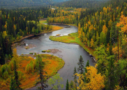 Kuva: VILJO KURONEN River in Kuusamo Kuva: VILJO