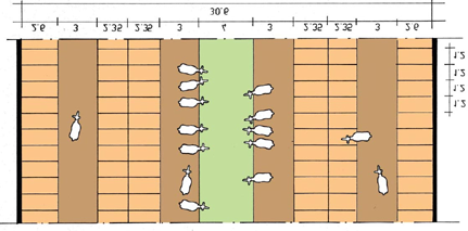 Kuva 61. Pääasiassa lypsylehmille tarkoitettu 3 + 3 rivinen ratkaisu.