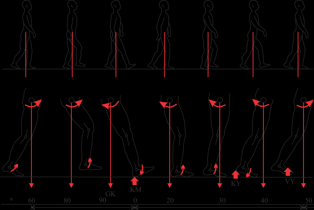 21 Kuva 19: Lonkan kuormitussuunnat kävellessä (GK = gravitaatiokeskipiste, KY = kantapään nostohetki, VY = varpaiden lattiasta nostohetki, KM = kantapään maahan osumishetki).