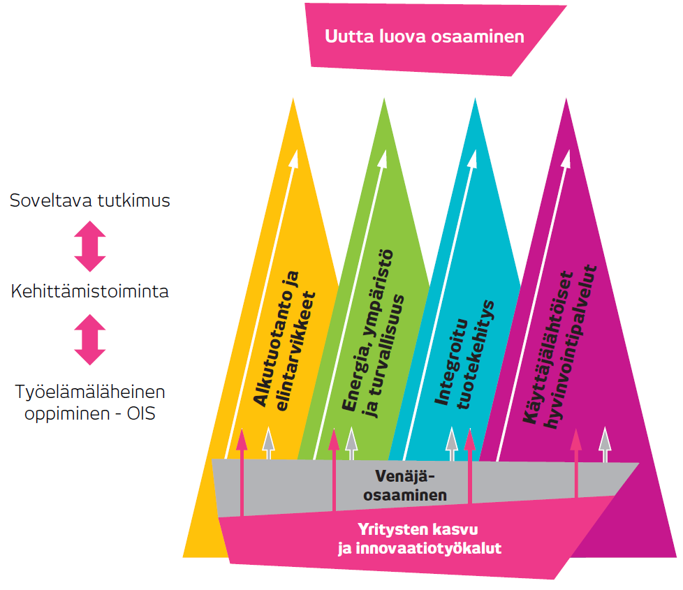 13 (65) 1.6.2 Profiili ja painoalat Savonia edistää oman toiminta-alueensa ja Itä-Suomen työ-, elinkeino- ja kulttuurielämän sekä yksilöiden osaamista, vuorovaikutusta ja kansainvälistymistä.