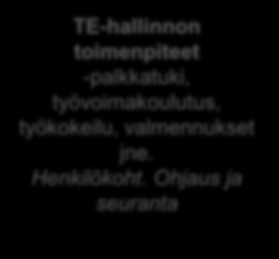 psykologi, erityisopettaja, terveydenhoitaja, opinto/uraohjaaja) - matalan kynnyksen palvelu -pidempikestoinen tuki, omaohjaaja Alkukartoituksen tekeminen & tavoitteet Elämäntilanteen ja sosiaalisen