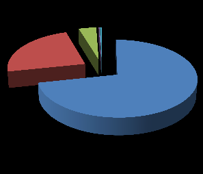 Palvelussuhteen luonne Vuoden 2012 lopussa erikoissairaanhoidon palvelussuhteista vakituisia eli toistaiseksi voimassa olevia oli 954, mikä on 74,5 % kaikista palvelussuhteista.