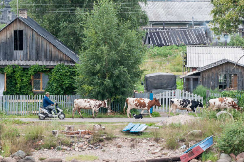 Tekniikka kuukauden toinen keskiviikko vuorotellen AV illan kanssa Kameraseuran tekniikkailloissa käsitellään valokuvaamiseen, kuvien käsittelyyn, joka tapauksessa vastuuvakuutus kannattaa julkaisuun