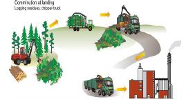 Koko biomassaprosessin hallinta 1(2) Metsästä laitokselle - Global forest energy resources, certification