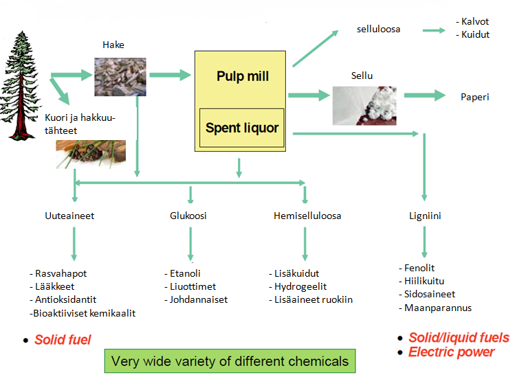 Esimerkki sellutehtaan yhteydessä toimivasta biojalostamosta Sellutehdas Mustalipeä - Kiinteä polttoaine Erittäin laaja valikoima erilaisia