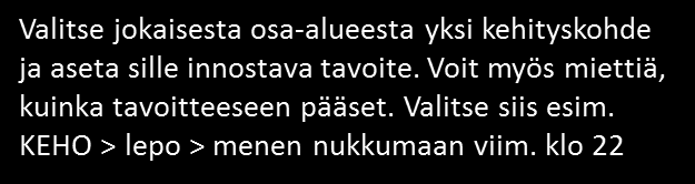 ROHKEUS JA HALU RIKKOA RAJOJA (Y21) TIIMIYRITTÄJÄN PERUSKUNTOKARTOITUS Rohkeus ja halu rikkoa rajoja (Y21)