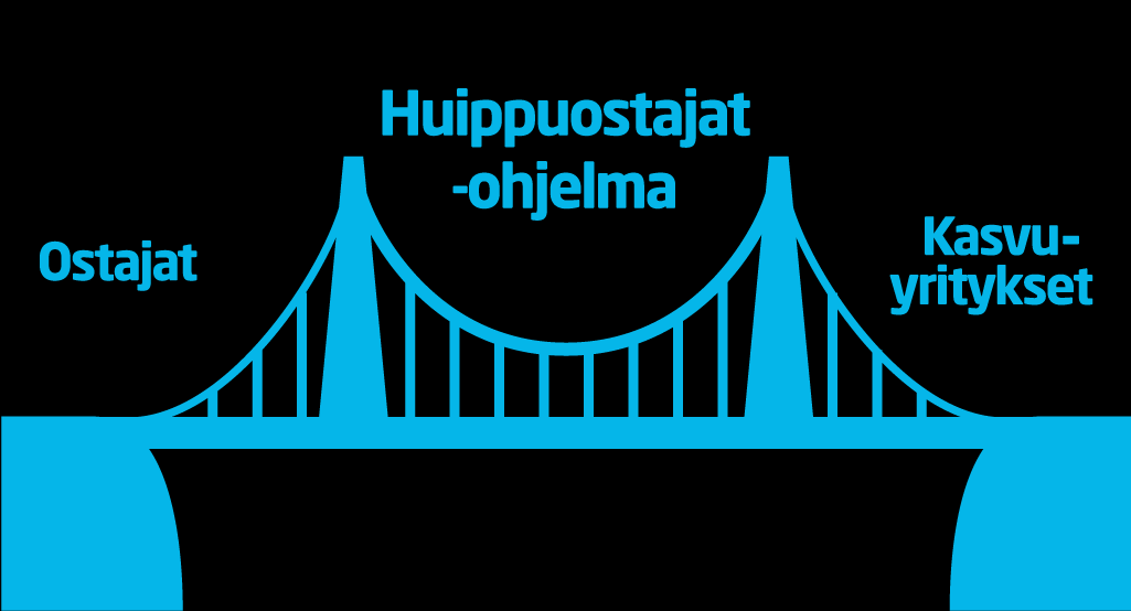 Huippuostajat Fiksu kysyntä luo markkinoita yritysten uusille ratkaisuille 2013-2016 Tarjoaa Tavoite Yritysten kehitysrahoitusta sekä tilaajien innovatiivisten hankintojen suunnittelun rahoitusta =