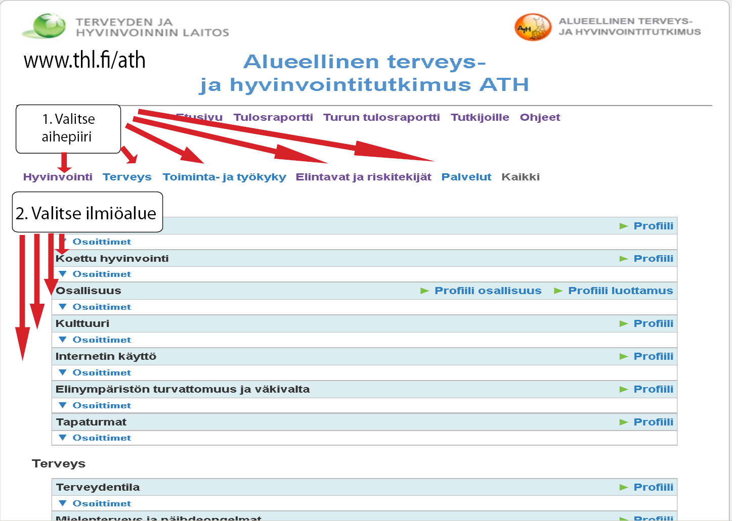 22.3.2013 THL / Murto