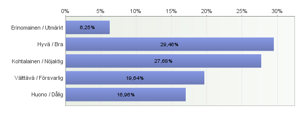 17 valinneista vain 17 % sanoi saavansa palvelua aina omalla äidinkielellään.