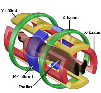 11 Kuva 2.5. RF- ja gradienttikäämit. [9] Gradienttikäämit kytketään vuoron perään päälle ja pois nopeaan tahtiin, jotta päämagneettien luoma kenttä saadaan värähtelemään pienellä alueella.