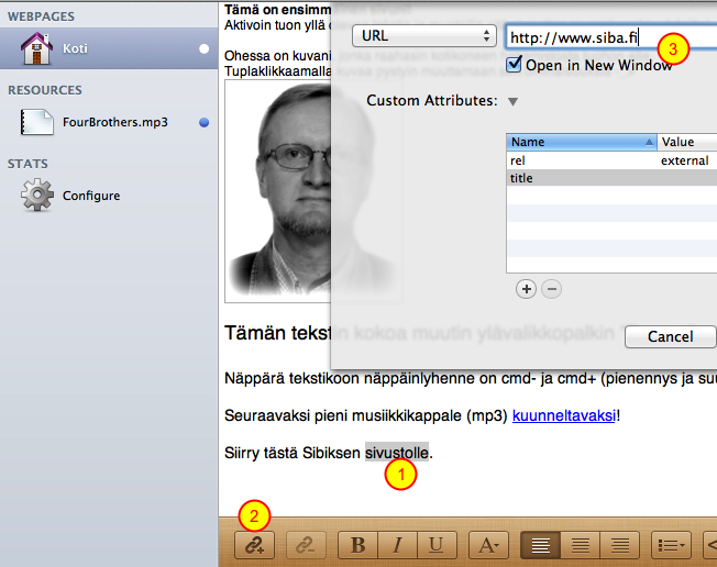 3. ja avautuvassa linkki-ikkunassa valitsin URL-painikkeesta linkitettäväksi materiaaliksi resurssin "FourBrothers.mp3" Kun käyttäjä klikkaa linkkitekstiä, alkaa mp3-tiedosto soida.