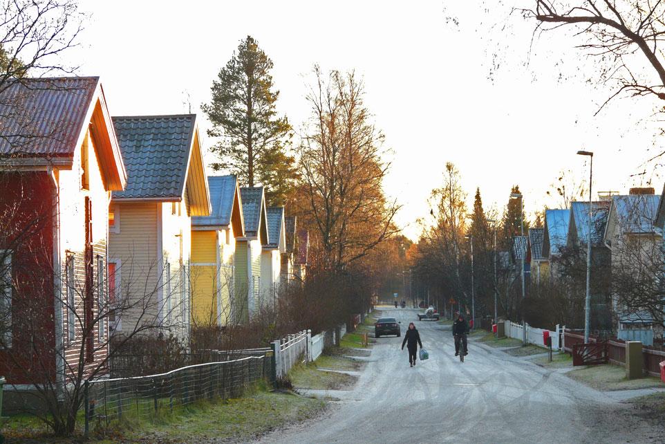 Viihtyisä Sykkii elämää läpi vuoden ja vuorokauden.