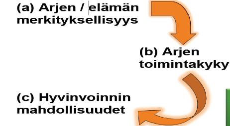 28.8.2012 TOIMINTAKYKYÄ TUKEVAN VANHUSTYÖN LÄHTÖKOHDAT (AILA PIKKARAINEN) TOIMINTAKYKYÄ TUKEVAN VANHUSTYÖN LÄHTÖKOHDAT Ihmisen perustarpeena on merkityksellisyyden, elämän tarkoituksellisuuden tunne