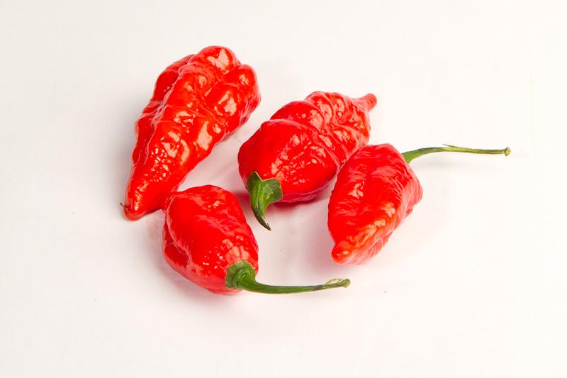 Naga Morich