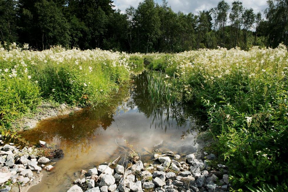 Kosteikon hoitosopimus Sopimus voidaan tehdä : kosteikon, tulva-alueen tai luonnonmukaistetun uoman alle jääneestä ja