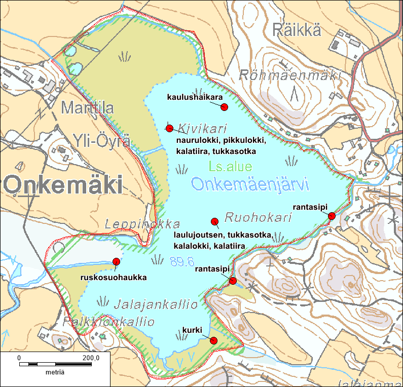 kana (viimeksi 2004), luhtahuitti ja harmaalokki (viime vuosina yleensä yksi pari). Huomionarvoisten lintulajien pesimäpaikat sijaitsivat hajallaan eri puolilla järveä (kuva 5).