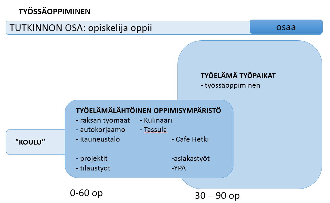 55 Kuva 20. Työssäoppiminen Salpauksen opetuksen toteutuksessa, Seija Katajisto, 2014 13.