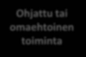 K u n t o u t u s v u o s i Kuntoutuslaitos Hakeminen Kela Koti / kotikunta Infopäivä Selvitysjakso I kotikäynti Perusjakso Verkostokäynti I seurantajakso Toimintapäivät Ryhmän II seurantajakso