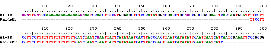 PCR- tai sekvensointialukkeiden suunnittelu tietokoneohjelmalla ei takaa reaktion onnistumista, mutta se auttaa poistamaan tai korjaamaan yleisimmät epäonnistumisten syyt, kuten kirjoitusvirheet ja