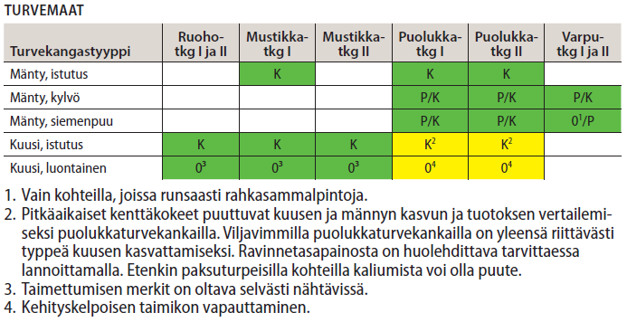 Kasvatettavan pääpuulajin valinta on tärkeä ratkaisu, sillä se vaikuttaa keskeisesti tulevaisuuden puunmyyntituloihin.