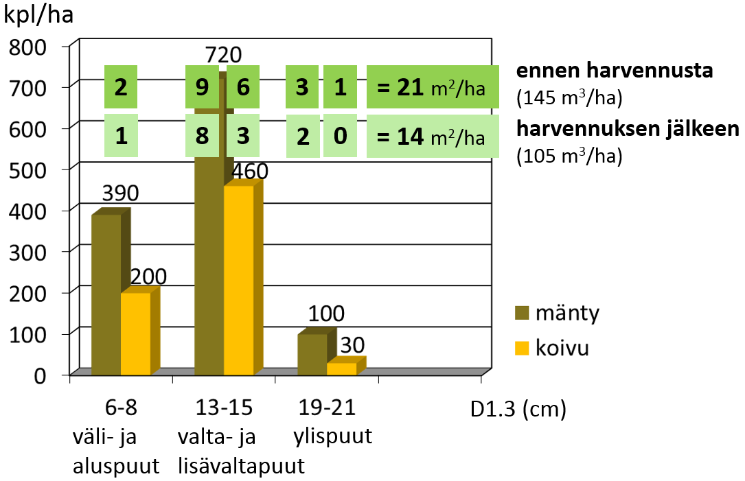 o ojavarsien puusto kärsii ylitiheydestä, vaikka keskisarka on harvapuustoista o metsikössä on ennen ojitusta syntyneitä paksuoksaisia järeitä puita, jotka haittaavat pienempien parempilaatuisten