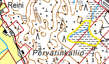 7. KAAVOITUKSESSA HUOMIONARVOISET LUONTOKOHTEET Suot Lapinmäen tervaleppäkorpi Pieni säästömetsikkö on jäänyt harventamatta peratun metsäalueen keskelle.