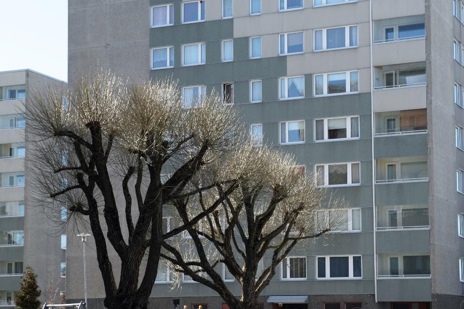 KOY JYRKKÄLÄNPOLKU ITSENÄINEN TURKULAINEN ARAVAVUOKRATALOYHTIÖ Omistajat: TVT