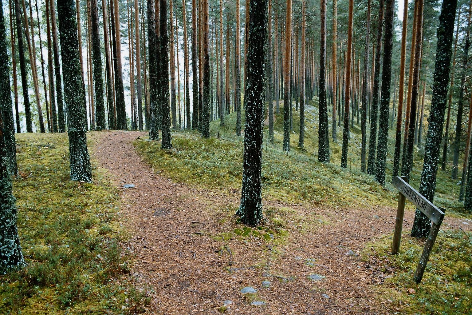 ovat laajat suot, rannat ja valoisat harjumetsät Puiston tärkeimpiä