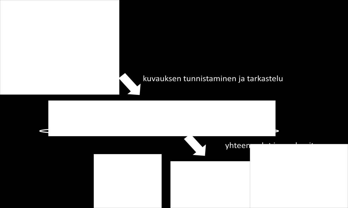 6. Koottujen tietojen yhteenveto ja analysointi case-kohtaisesti a. Excel-lomakkeiden toteuttaminen erityisesti kuvausten elementteihin kohdistuvien yhteenvetojen tekemisen tueksi b.