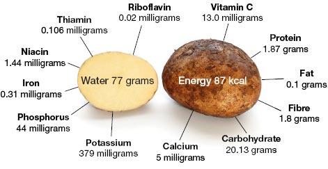 Monipuolisessa ruokavaliossa oltava riittävästi energiaa, proteiineja, vitamiineja ja