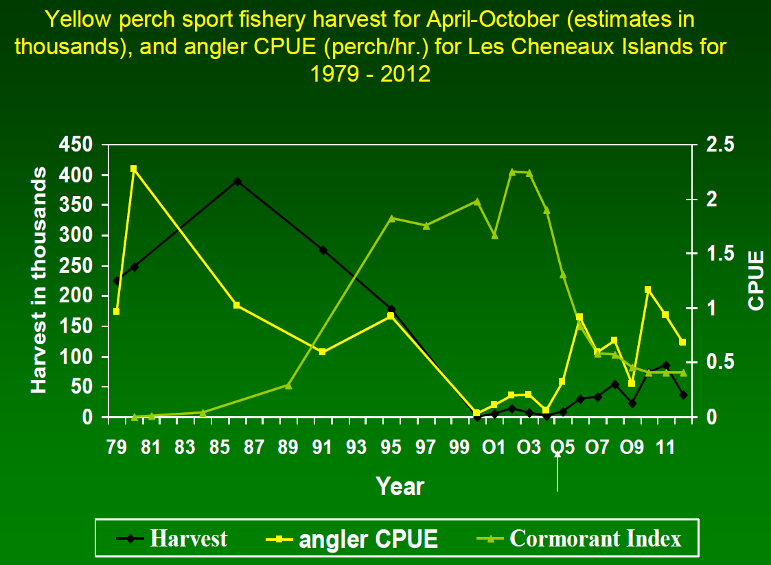 Vapaa-ajankalastajien ahvensaalis romahti 15 vuodessa nollaan (musta viiva = vapaa-ajankalastajien