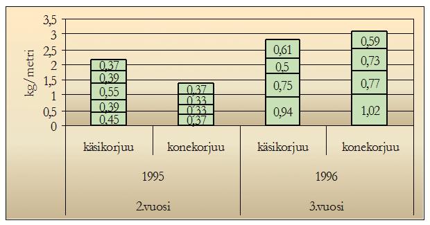 Lehtisatoa varten voikukka voidaan kasvattaa kylvämällä suoraan tasamaalle tai perunaharjuun. Mustassa muovipenkissä yhteen reikään kylvetään 5-8 siementä. Sopiva taimiväli on 30 x 30 cm.