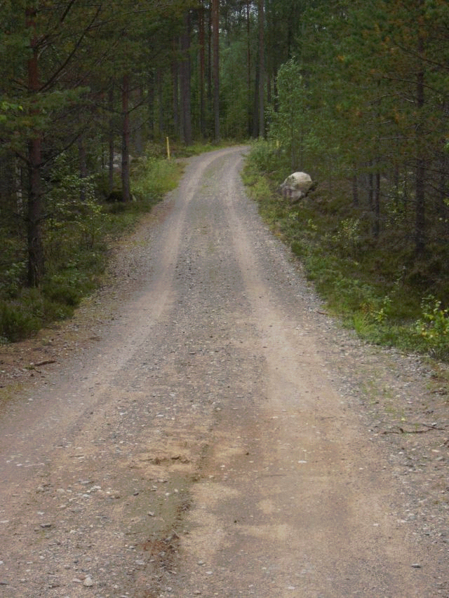 Tommo Hämäläinen METSÄTEIDEN KESÄAIKAINEN KUNNOSSAPITO